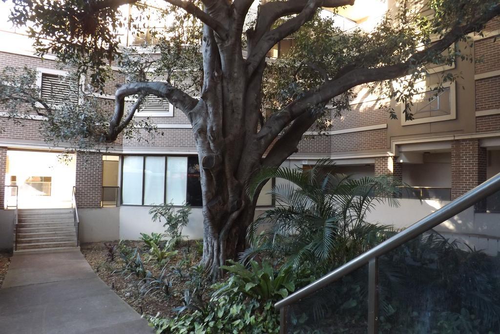 Hotel Fiori Apartments Parramatta Great Prices At Hotel Info