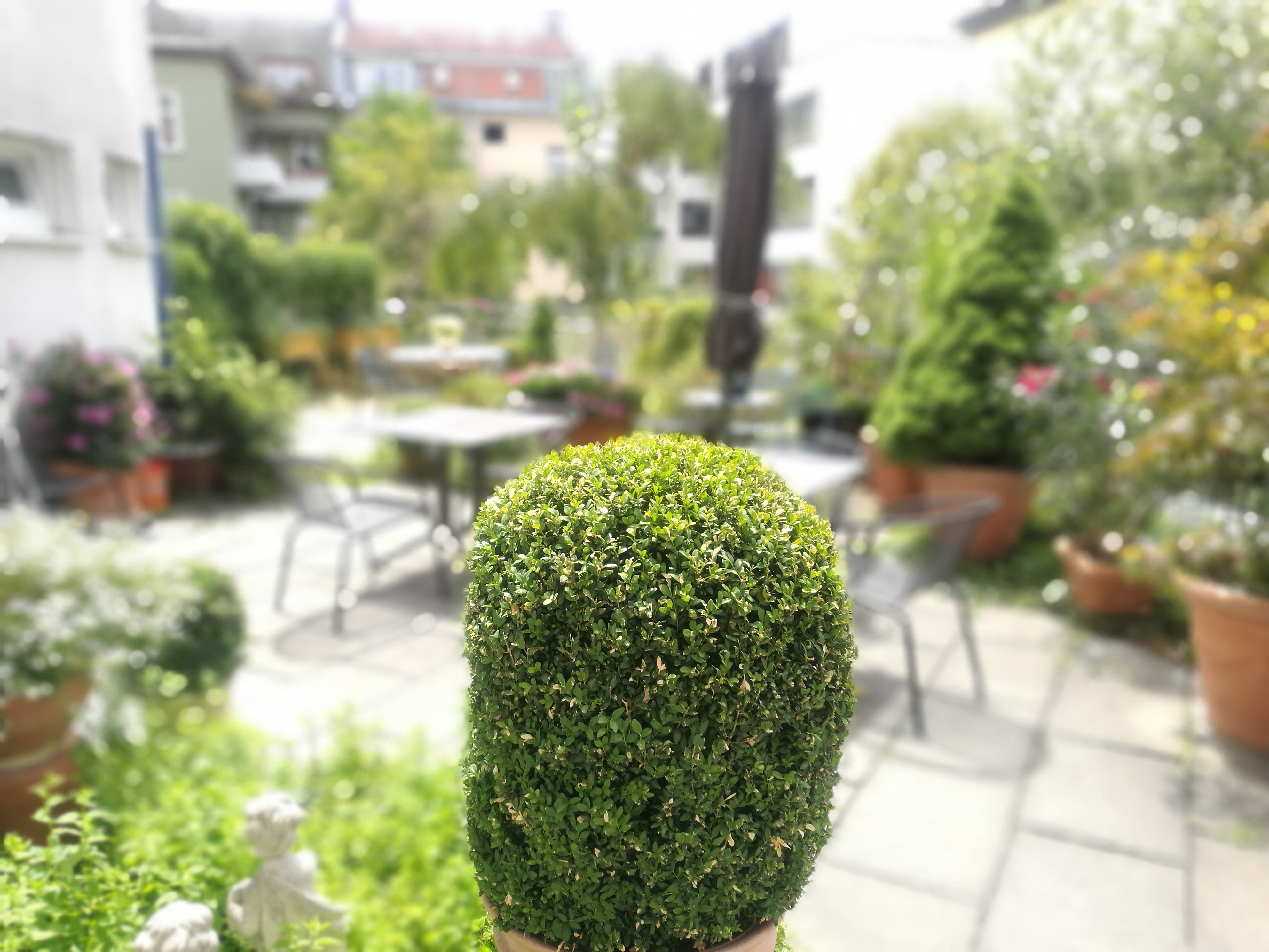 Hotels In Munchen Entdecken Sie Die Idylle Englischer Garten